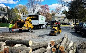 Lawn Grading and Leveling in Chatmoss, VA